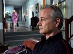 BROKEN FLOWERS-3.jpg